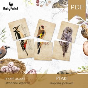 PTAKI - Zestaw edukacyjny 3D