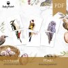 PTAKI - Zestaw edukacyjny 3D