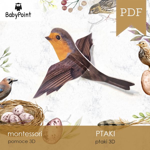 PTAKI - Ptaki 3D