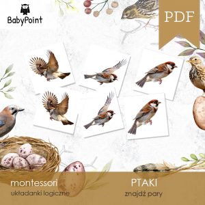 PTAKI - Znajdź pary