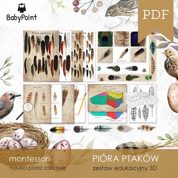 PTAKI - PIÓRA PTAKÓW - Zestaw edukacyjny 3D