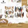PTAKI - PIÓRA PTAKÓW - Zestaw edukacyjny 3D