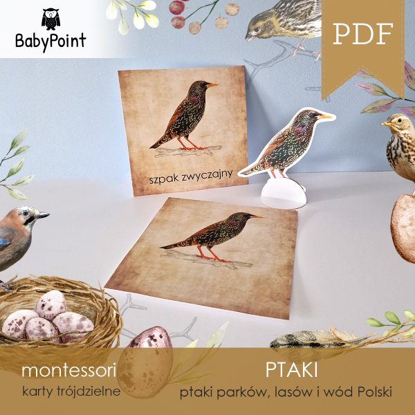 PTAKI - Zestaw edukacyjny 3D