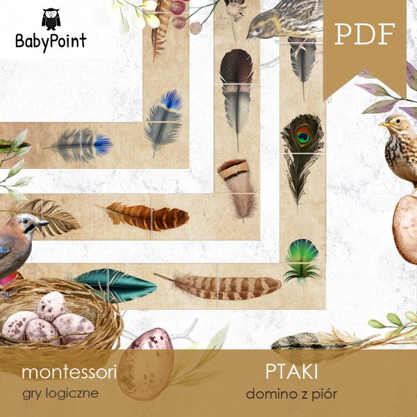 PTAKI - PIÓRA PTAKÓW - Zestaw edukacyjny 3D