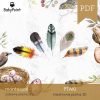 PTAKI - PIÓRA PTAKÓW - Zestaw edukacyjny 3D