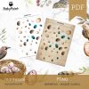 PTAKI - JAJA PTAKÓW - Zestaw edukacyjny 3D