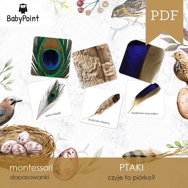 PTAKI - PIÓRA PTAKÓW - Zestaw edukacyjny 3D