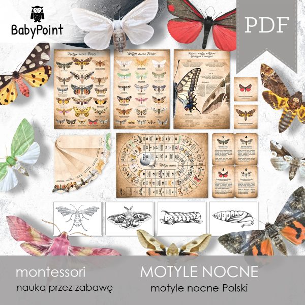 MOTYLE NOCNE - Zestaw edukacyjny 3D