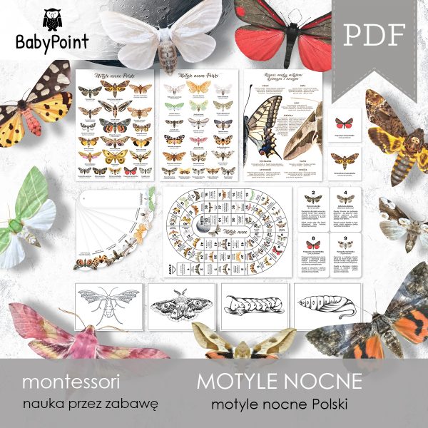 MOTYLE NOCNE - Zestaw edukacyjny 3D