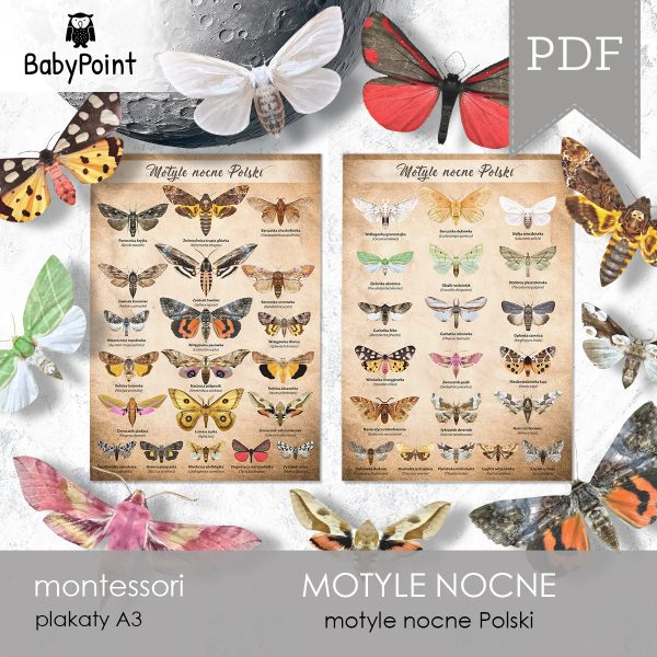MOTYLE NOCNE - Zestaw edukacyjny 3D
