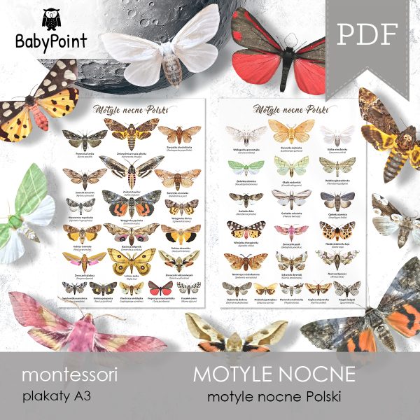MOTYLE NOCNE - Zestaw edukacyjny 3D