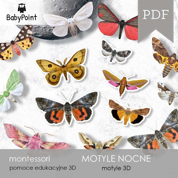 MOTYLE NOCNE - Zestaw edukacyjny 3D