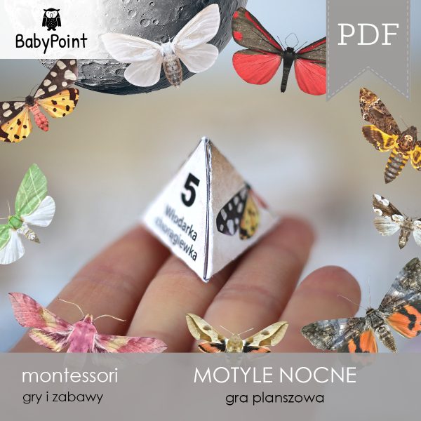 MOTYLE NOCNE - Zestaw edukacyjny 3D