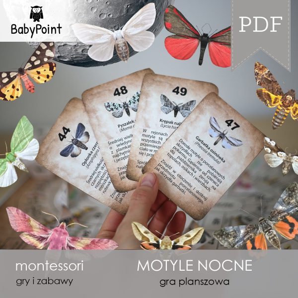 MOTYLE NOCNE - Zestaw edukacyjny 3D