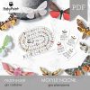 MOTYLE NOCNE - Zestaw edukacyjny 3D