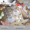 MOTYLE NOCNE - Zestaw edukacyjny 3D