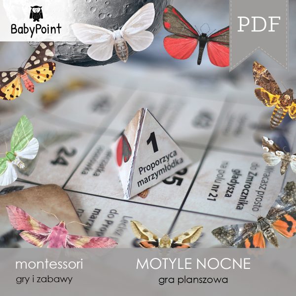 MOTYLE NOCNE - Zestaw edukacyjny 3D