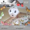 MOTYLE NOCNE - Zestaw edukacyjny 3D