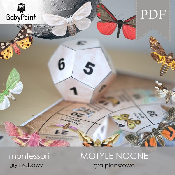 MOTYLE NOCNE - Zestaw edukacyjny 3D