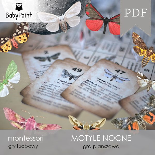 MOTYLE NOCNE - Zestaw edukacyjny 3D