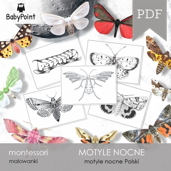 MOTYLE NOCNE - Zestaw edukacyjny 3D