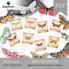 MOTYLE NOCNE - Zestaw edukacyjny 3D