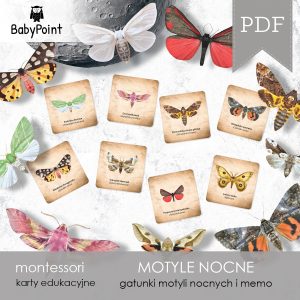 MOTYLE NOCNE - Zestaw edukacyjny 3D