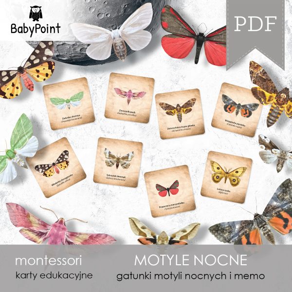 MOTYLE NOCNE - Zestaw edukacyjny 3D