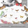 MOTYLE NOCNE - Zestaw edukacyjny 3D