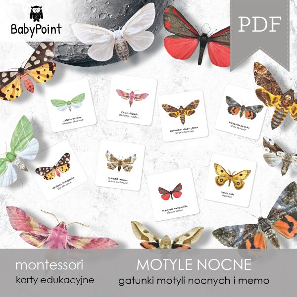 MOTYLE NOCNE - Zestaw edukacyjny 3D