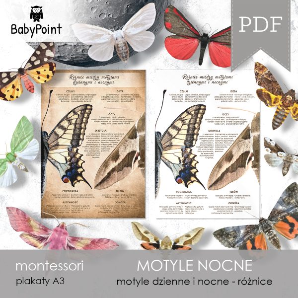 MOTYLE NOCNE - Zestaw edukacyjny 3D