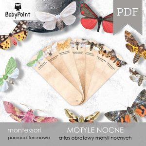 MOTYLE NOCNE - Zestaw edukacyjny 3D
