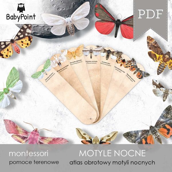 MOTYLE NOCNE - Zestaw edukacyjny 3D