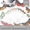 MOTYLE NOCNE - Zestaw edukacyjny 3D