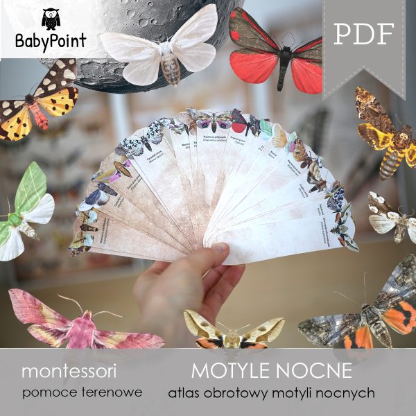 MOTYLE NOCNE - Zestaw edukacyjny 3D