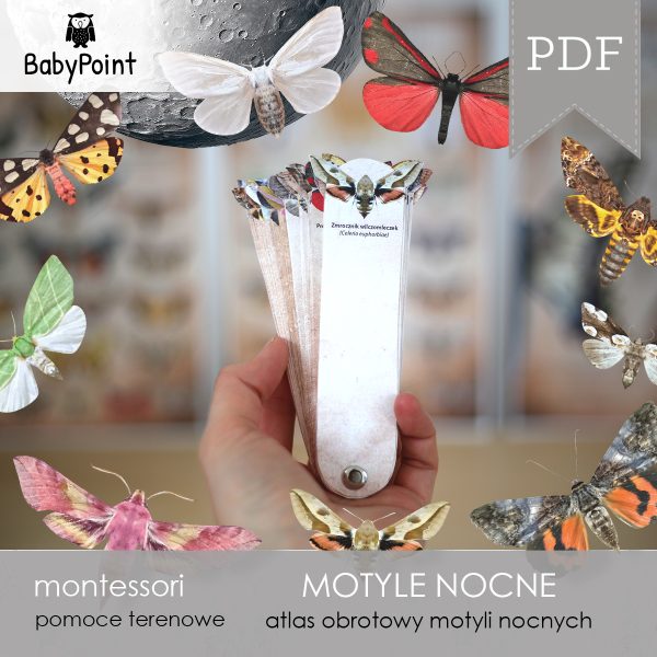 MOTYLE NOCNE - Zestaw edukacyjny 3D