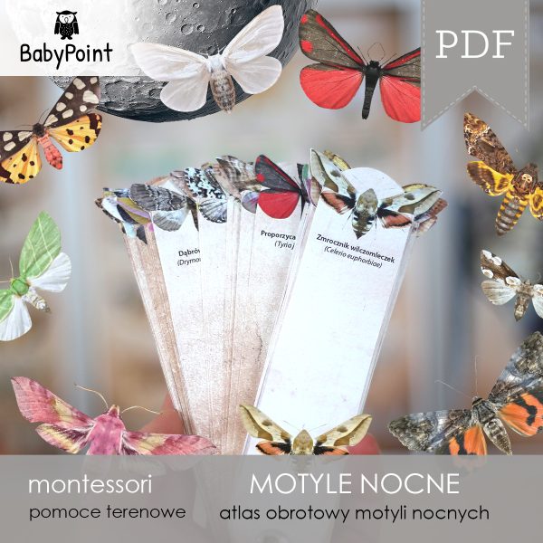 MOTYLE NOCNE - Zestaw edukacyjny 3D