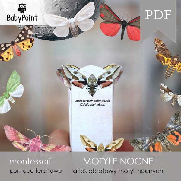 MOTYLE NOCNE - Zestaw edukacyjny 3D