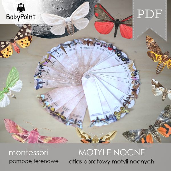 MOTYLE NOCNE - Zestaw edukacyjny 3D