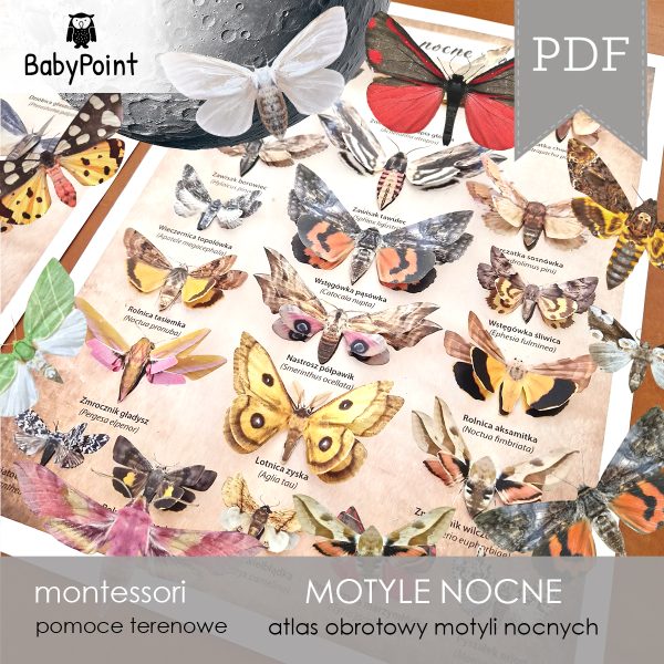 MOTYLE NOCNE - Zestaw edukacyjny 3D
