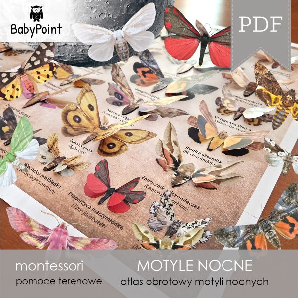 MOTYLE NOCNE - Zestaw edukacyjny 3D