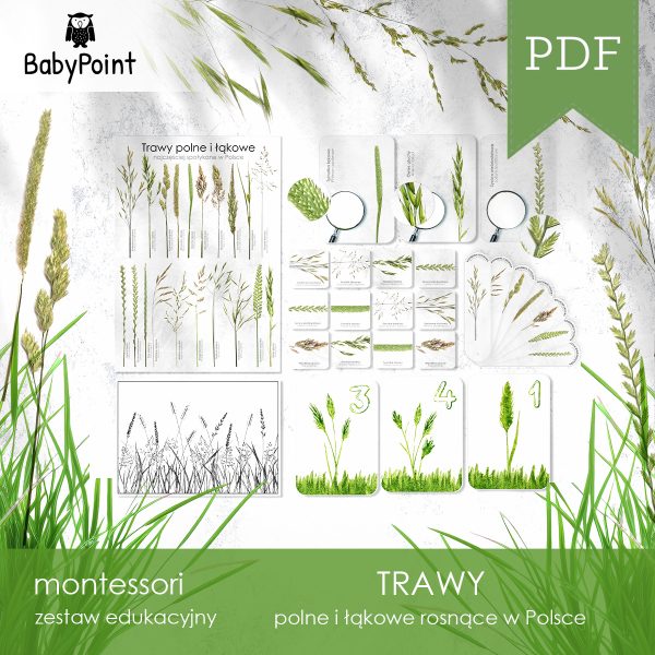 TRAWY - Zestaw edukacyjny
