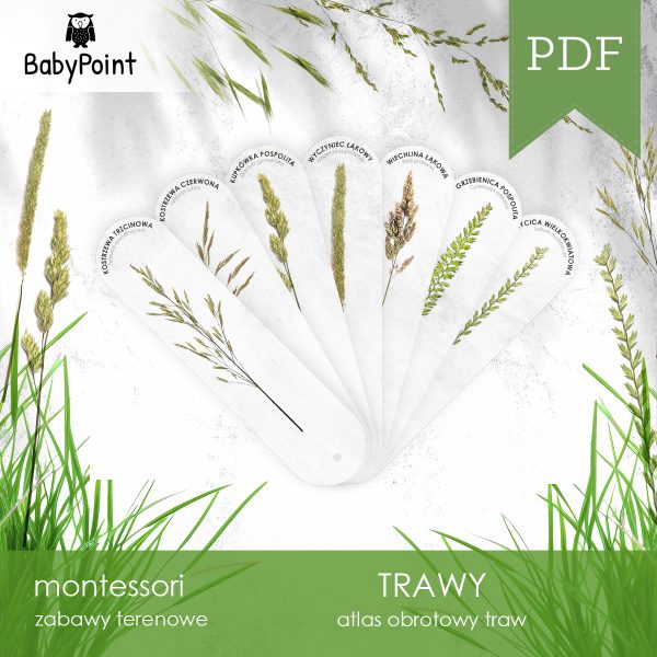 TRAWY - Zestaw edukacyjny