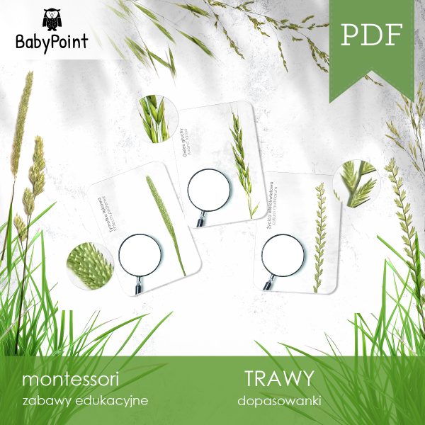 TRAWY - Zestaw edukacyjny