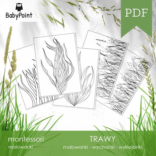 TRAWY - Zestaw edukacyjny