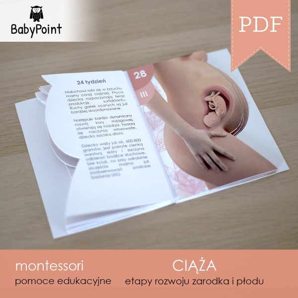 CIĄŻA - Zestaw edukacyjny