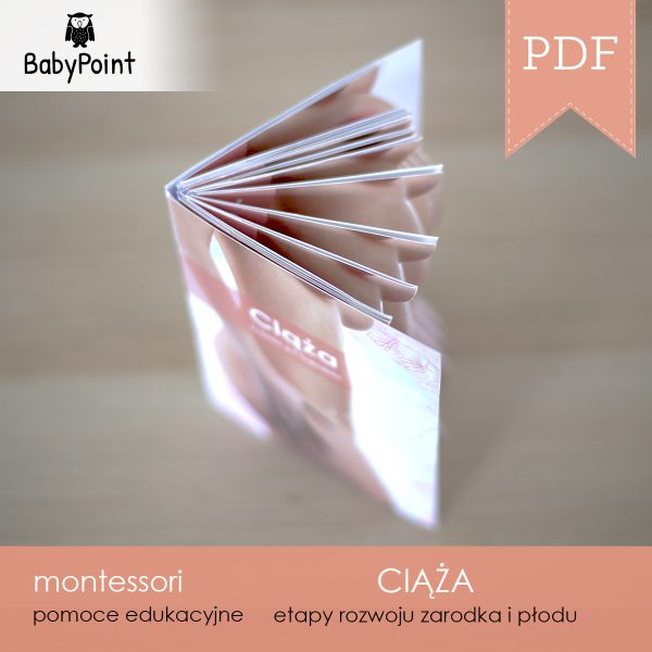 CIĄŻA - Zestaw edukacyjny