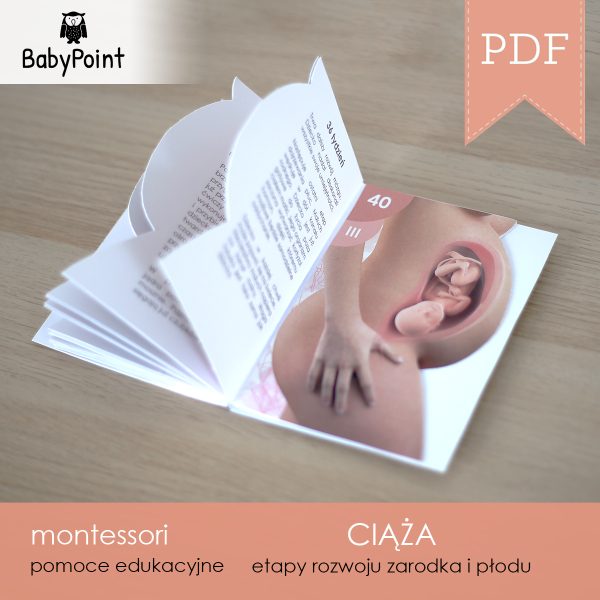 CIĄŻA - Zestaw edukacyjny