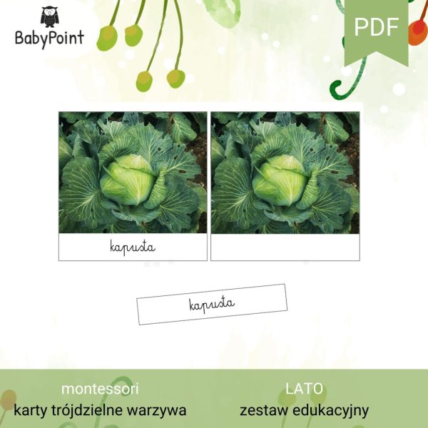 Lato