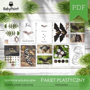 Pakiet plastyczny - NIETOPERZ